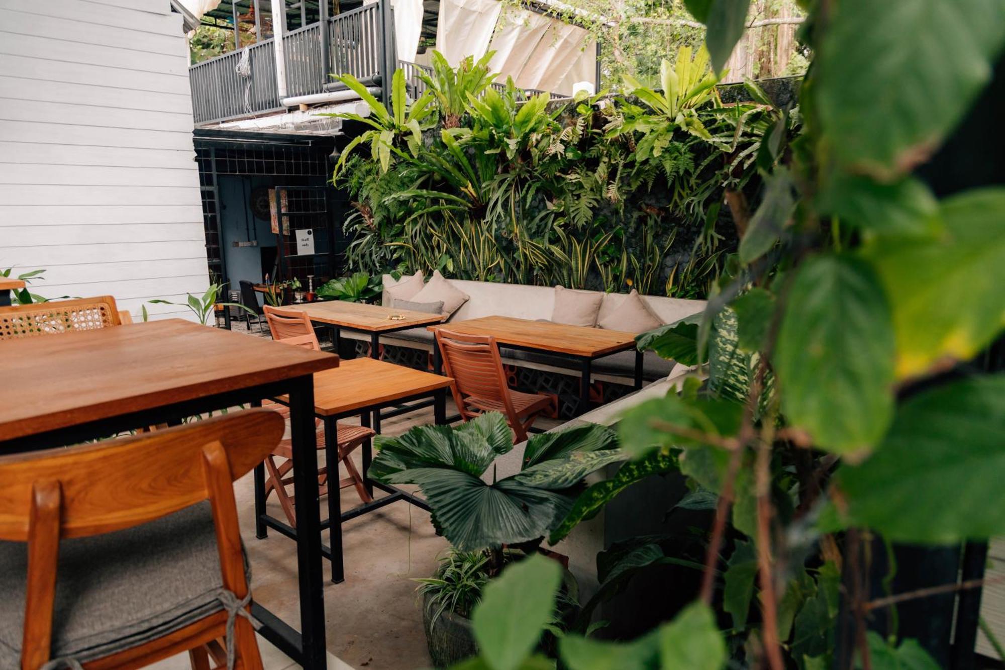 The Jungle Hostel Canggu Ngoại thất bức ảnh