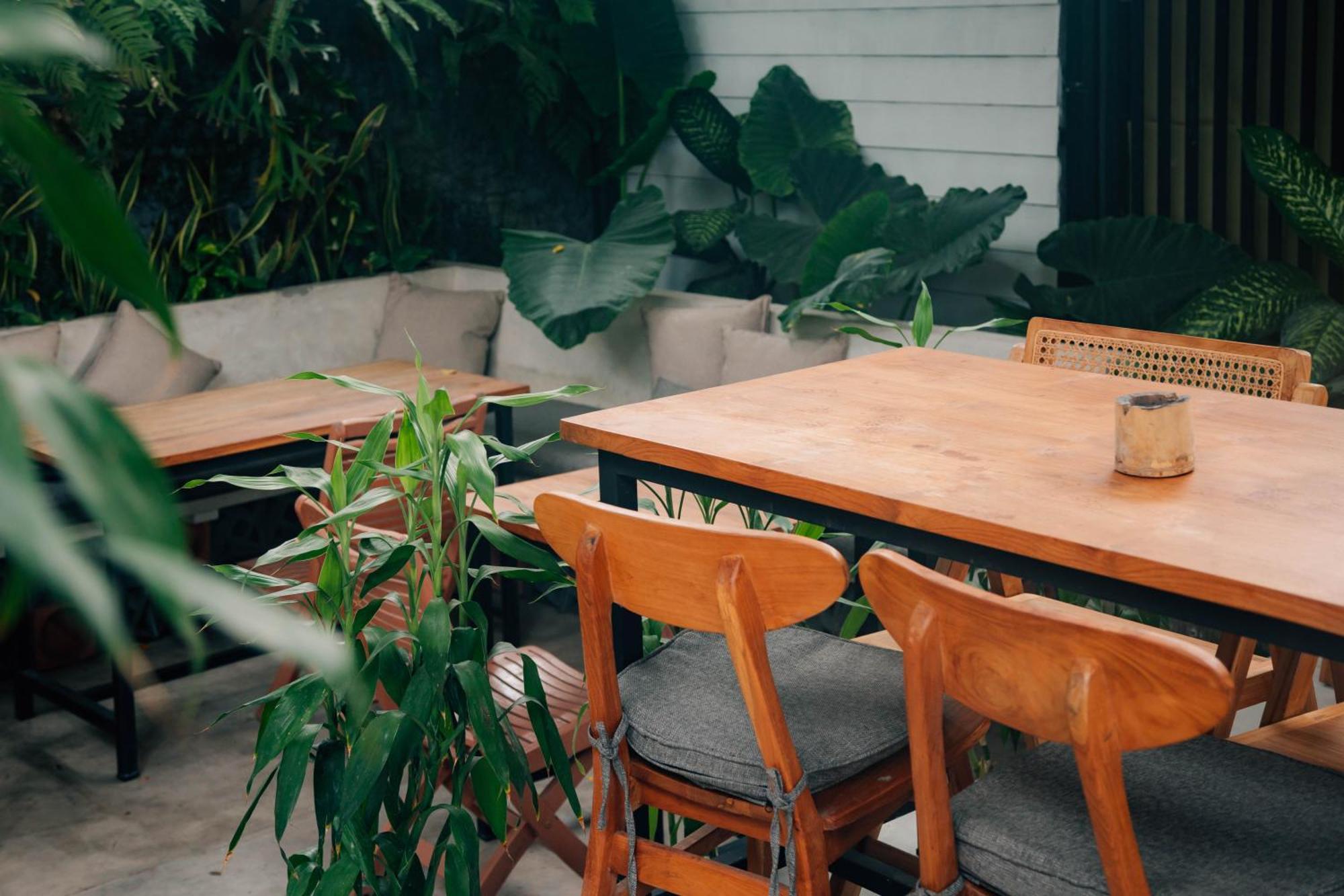 The Jungle Hostel Canggu Ngoại thất bức ảnh