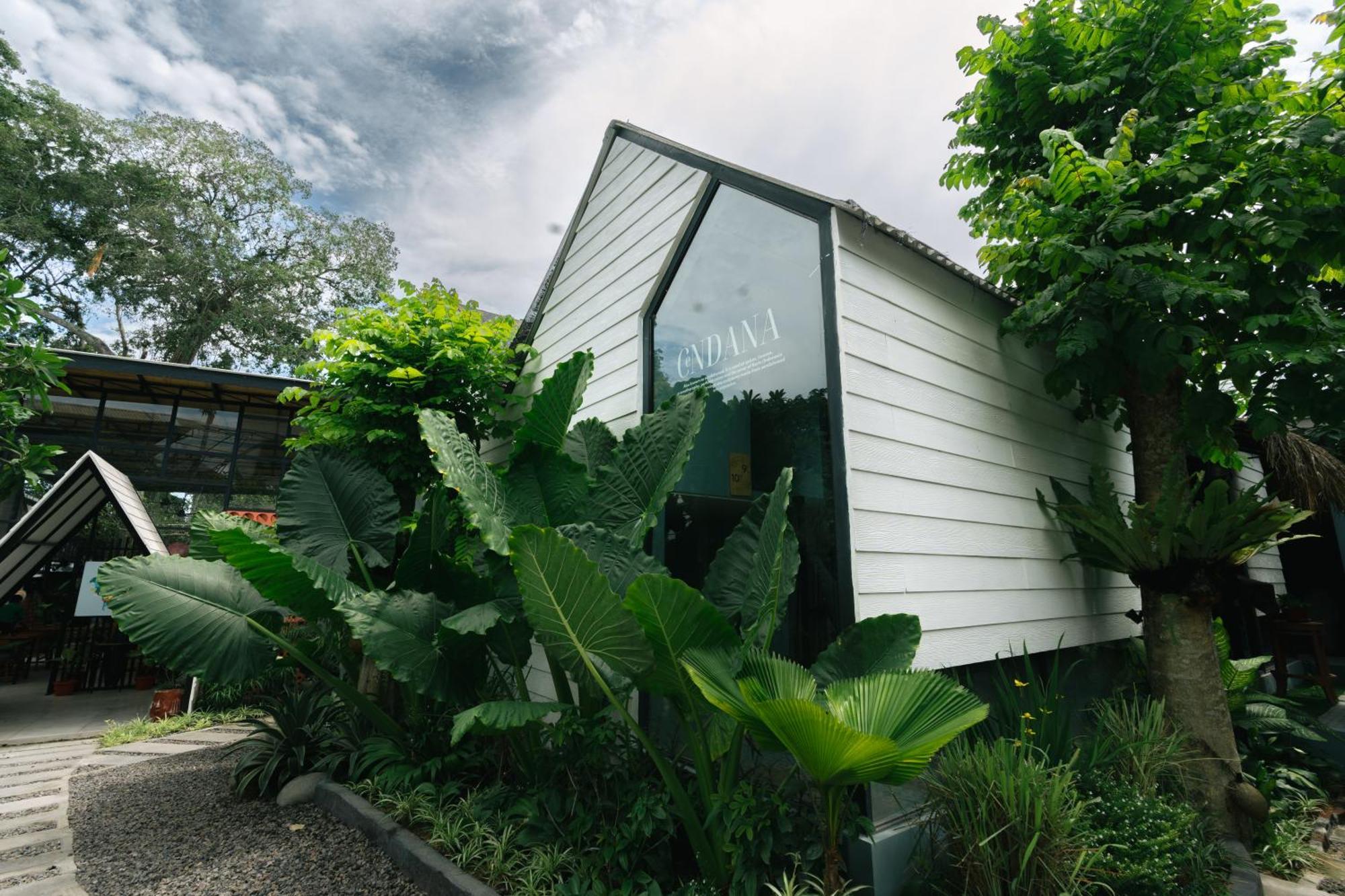 The Jungle Hostel Canggu Ngoại thất bức ảnh