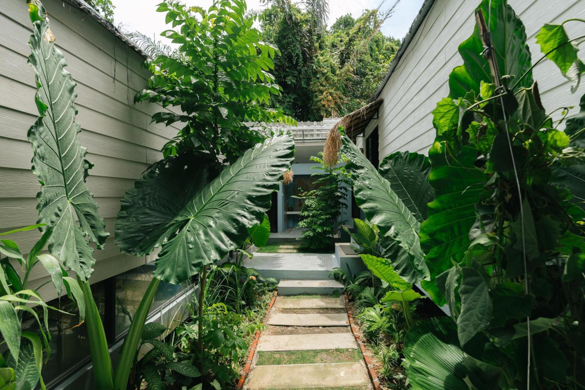 The Jungle Hostel Canggu Ngoại thất bức ảnh