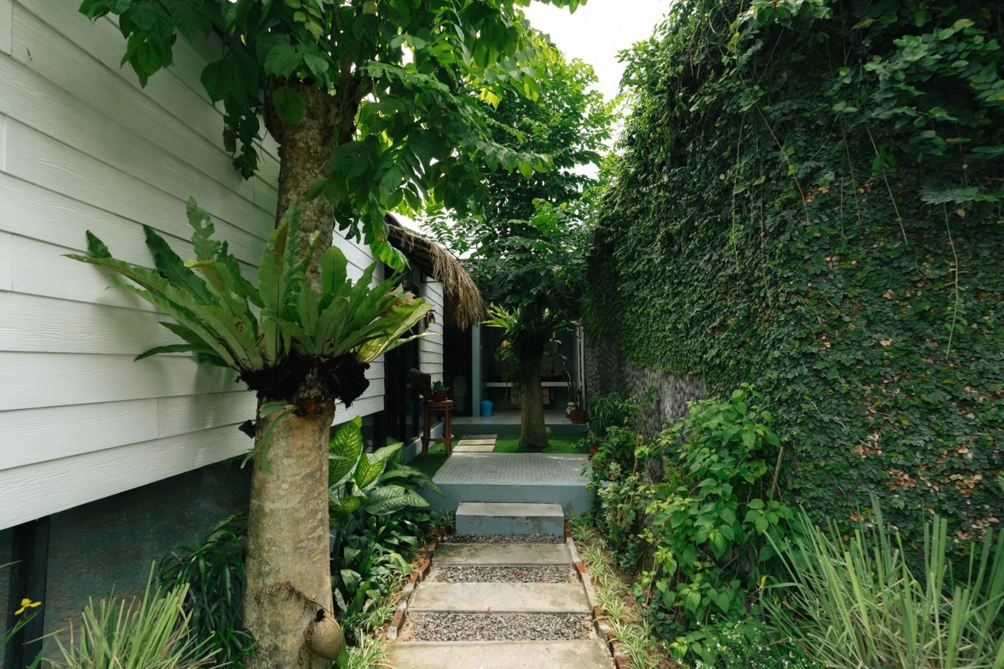The Jungle Hostel Canggu Ngoại thất bức ảnh