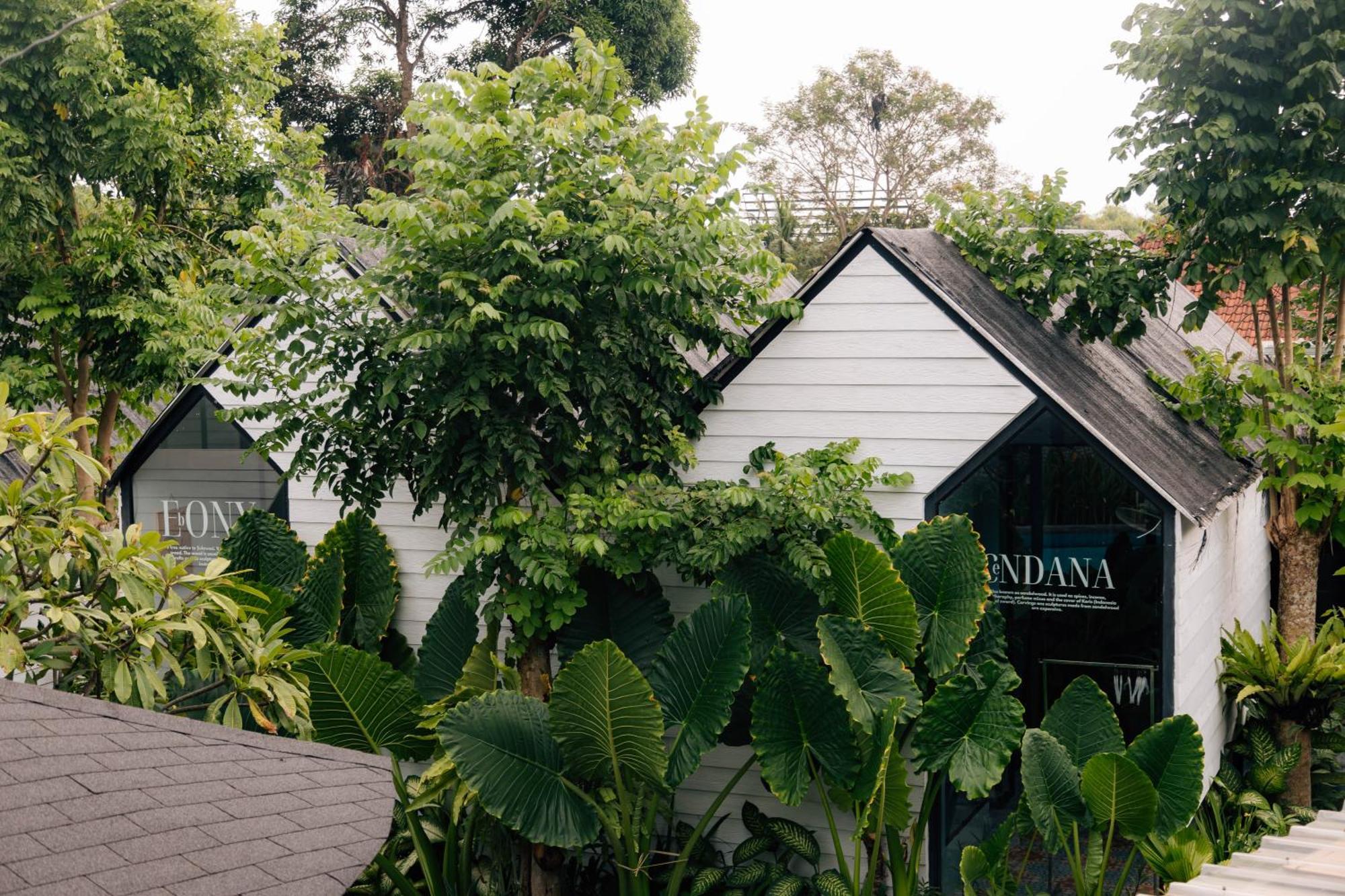 The Jungle Hostel Canggu Ngoại thất bức ảnh