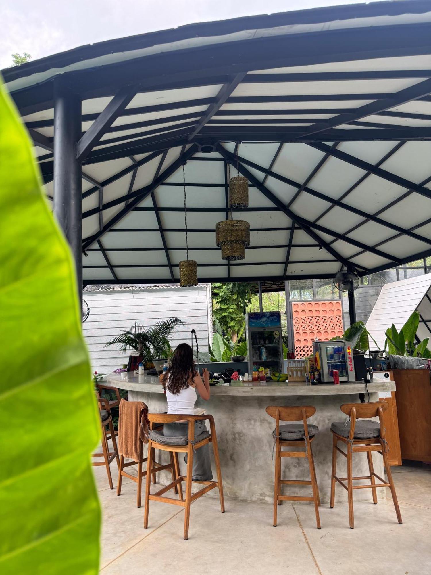 The Jungle Hostel Canggu Ngoại thất bức ảnh