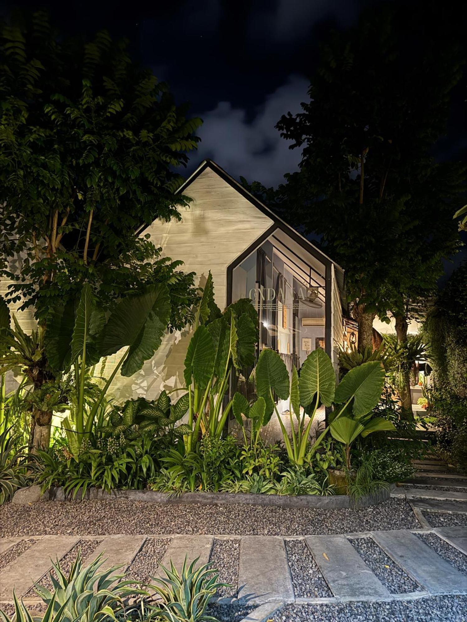 The Jungle Hostel Canggu Ngoại thất bức ảnh