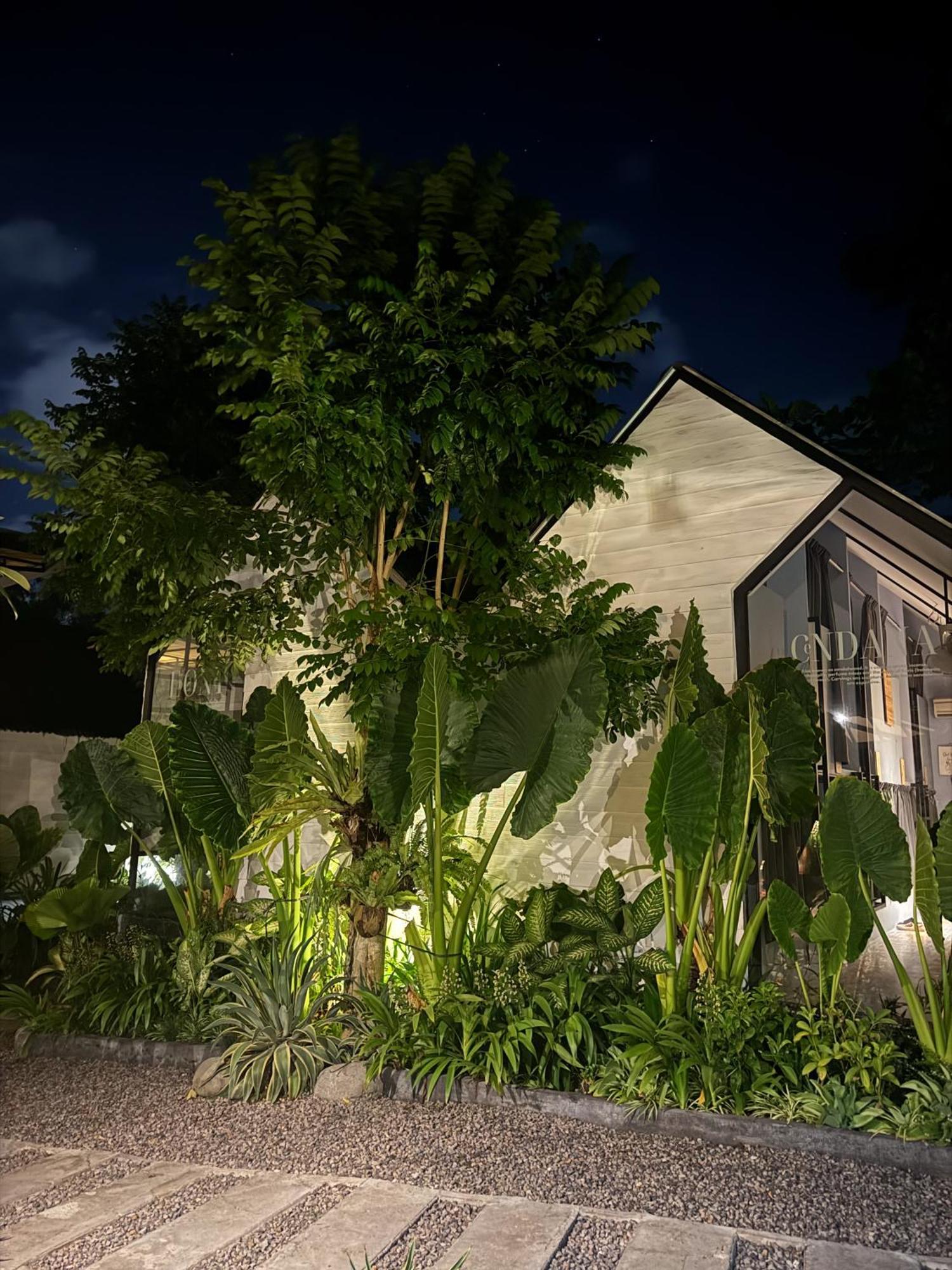 The Jungle Hostel Canggu Ngoại thất bức ảnh